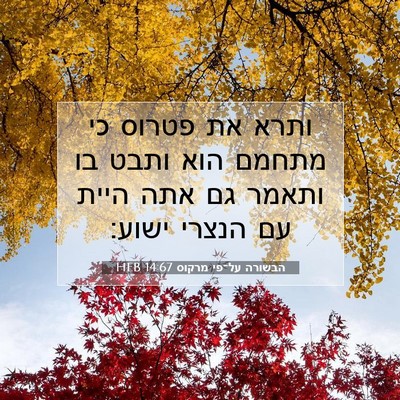 Picture 07 - הבשורה על־פי מרקוס 14:67 HEB - ותרא את פטרוס כי מתחמם הוא - Bible Verse Picture