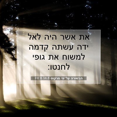 Picture 07 - הבשורה על־פי מרקוס 14:8 HEB - את אשר היה לאל ידה עשתה - Bible Verse Picture