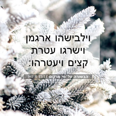 Picture 07 - הבשורה על־פי מרקוס 15:17 HEB - וילבישהו ארגמן וישרגו עטרת - Bible Verse Picture