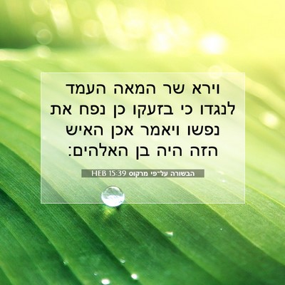 Picture 07 - הבשורה על־פי מרקוס 15:39 HEB - וירא שר המאה העמד לנגדו כי - Bible Verse Picture