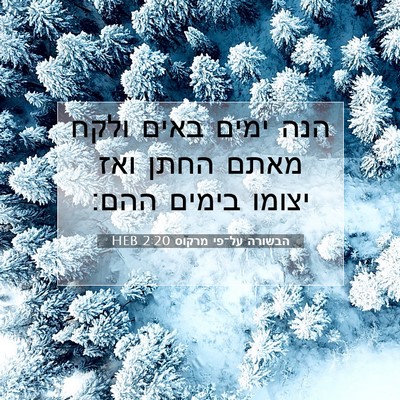 Picture 07 - הבשורה על־פי מרקוס 2:20 HEB - הנה ימים באים ולקח מאתם - Bible Verse Picture