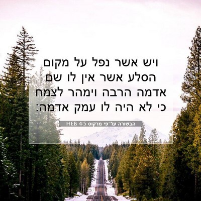 Picture 07 - הבשורה על־פי מרקוס 4:5 HEB - ויש אשר נפל על מקום הסלע - Bible Verse Picture