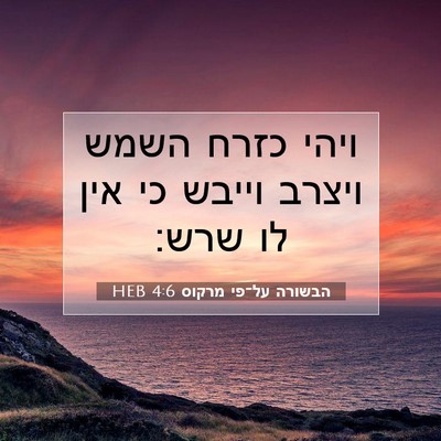 Picture 07 - הבשורה על־פי מרקוס 4:6 HEB - ויהי כזרח השמש ויצרב וייבש - Bible Verse Picture