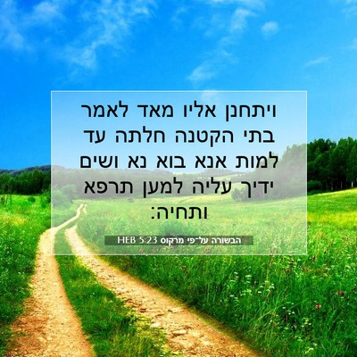 Picture 07 - הבשורה על־פי מרקוס 5:23 HEB - ויתחנן אליו מאד לאמר בתי - Bible Verse Picture