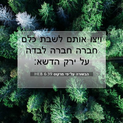 Picture 07 - הבשורה על־פי מרקוס 6:39 HEB - ויצו אותם לשבת כלם חברה - Bible Verse Picture