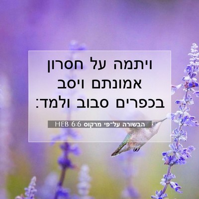 Picture 07 - הבשורה על־פי מרקוס 6:6 HEB - ויתמה על חסרון אמונתם ויסב - Bible Verse Picture