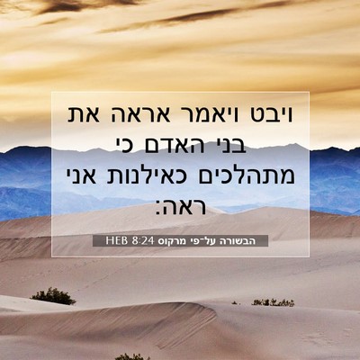 Picture 07 - הבשורה על־פי מרקוס 8:24 HEB - ויבט ויאמר אראה את בני האדם - Bible Verse Picture