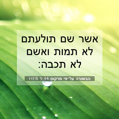 Picture 07 - הבשורה על־פי מרקוס 9:44 HEB - אשר שם תולעתם לא תמות ואשם - Bible Verse Picture