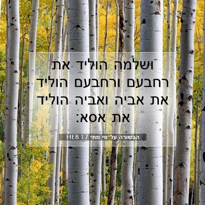 Picture 07 - הבשורה על־פי מתי 1:7 HEB - ושלמה הוליד את רחבעם - Bible Verse Picture