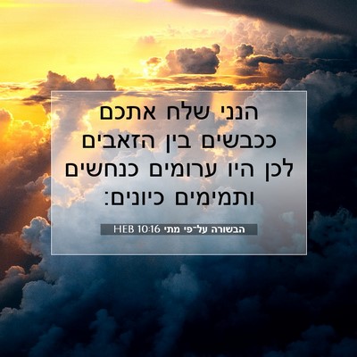 Picture 07 - הבשורה על־פי מתי 10:16 HEB - הנני שלח אתכם ככבשים בין - Bible Verse Picture