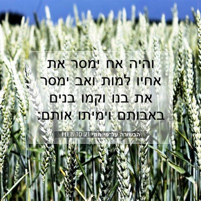 Picture 07 - הבשורה על־פי מתי 10:21 HEB - והיה אח ימסר את אחיו למות - Bible Verse Picture