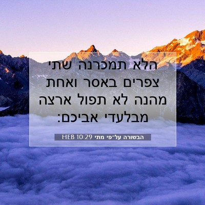 Picture 07 - הבשורה על־פי מתי 10:29 HEB - הלא תמכרנה שתי צפרים באסר - Bible Verse Picture