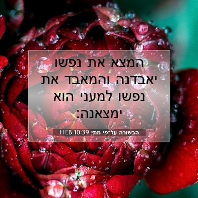Picture 07 - הבשורה על־פי מתי 10:39 HEB - המצא את נפשו יאבדנה והמאבד - Bible Verse Picture
