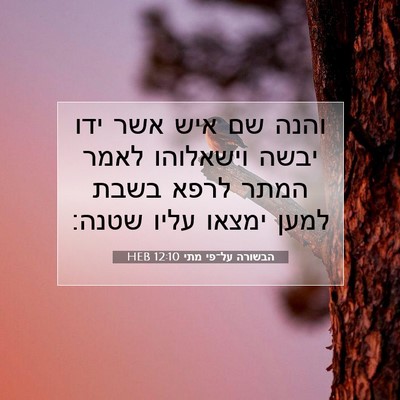 Picture 07 - הבשורה על־פי מתי 12:10 HEB - והנה שם איש אשר ידו יבשה - Bible Verse Picture