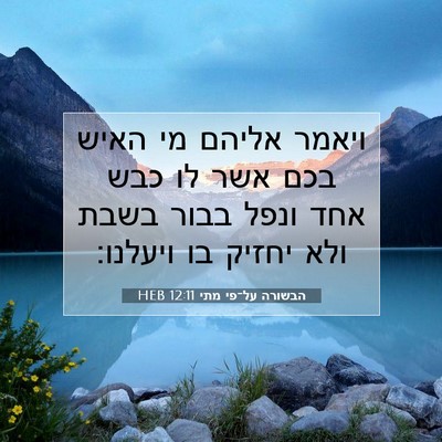 Picture 07 - הבשורה על־פי מתי 12:11 HEB - ויאמר אליהם מי האיש בכם אשר - Bible Verse Picture