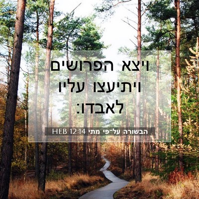 Picture 07 - הבשורה על־פי מתי 12:14 HEB - ויצא הפרושים ויתיעצו עליו - Bible Verse Picture