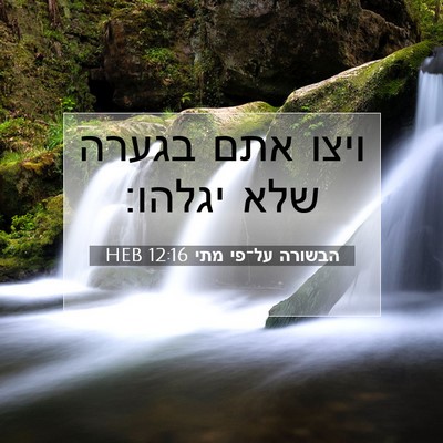 Picture 07 - הבשורה על־פי מתי 12:16 HEB - ויצו אתם בגערה שלא - Bible Verse Picture