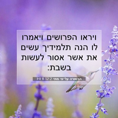 Picture 07 - הבשורה על־פי מתי 12:2 HEB - ויראו הפרושים ויאמרו לו - Bible Verse Picture