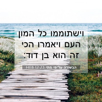 Picture 07 - הבשורה על־פי מתי 12:23 HEB - וישתוממו כל המון העם - Bible Verse Picture