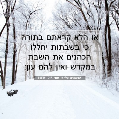 Picture 07 - הבשורה על־פי מתי 12:5 HEB - או הלא קראתם בתורה כי - Bible Verse Picture