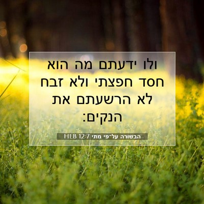 Picture 07 - הבשורה על־פי מתי 12:7 HEB - ולו ידעתם מה הוא חסד חפצתי - Bible Verse Picture