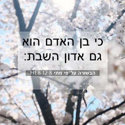 Picture 07 - הבשורה על־פי מתי 12:8 HEB - כי בן האדם הוא גם אדון - Bible Verse Picture