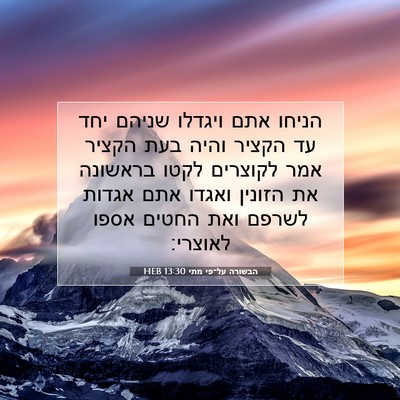 Picture 07 - הבשורה על־פי מתי 13:30 HEB - הניחו אתם ויגדלו שניהם יחד - Bible Verse Picture