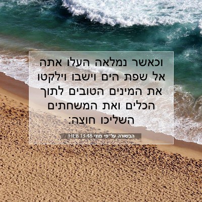 Picture 07 - הבשורה על־פי מתי 13:48 HEB - וכאשר נמלאה העלו אתה אל שפת - Bible Verse Picture