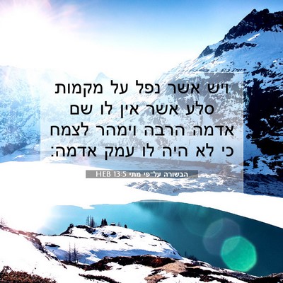 Picture 07 - הבשורה על־פי מתי 13:5 HEB - ויש אשר נפל על מקמות סלע - Bible Verse Picture