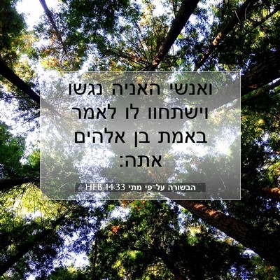 Picture 07 - הבשורה על־פי מתי 14:33 HEB - ואנשי האניה נגשו וישתחוו - Bible Verse Picture