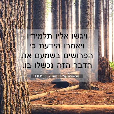 Picture 07 - הבשורה על־פי מתי 15:12 HEB - ויגשו אליו תלמידיו ויאמרו - Bible Verse Picture