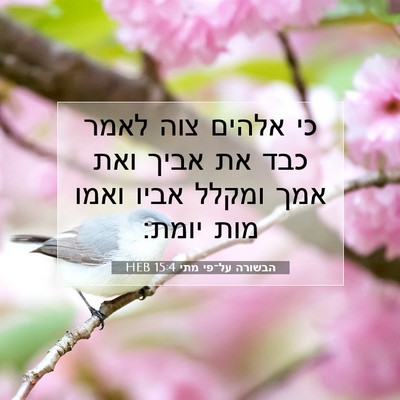 Picture 07 - הבשורה על־פי מתי 15:4 HEB - כי אלהים צוה לאמר כבד את - Bible Verse Picture