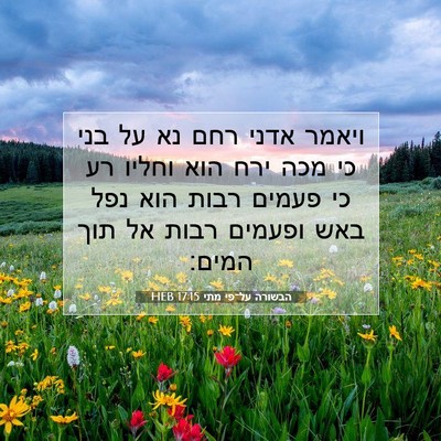Picture 07 - הבשורה על־פי מתי 17:15 HEB - ויאמר אדני רחם נא על בני כי - Bible Verse Picture