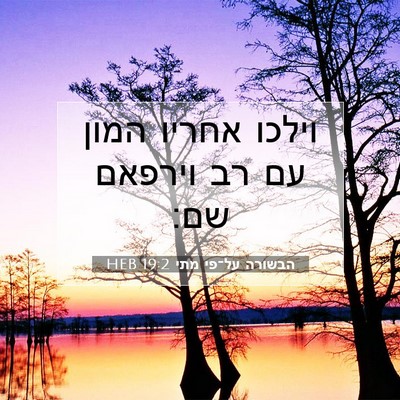 Picture 07 - הבשורה על־פי מתי 19:2 HEB - וילכו אחריו המון עם רב - Bible Verse Picture