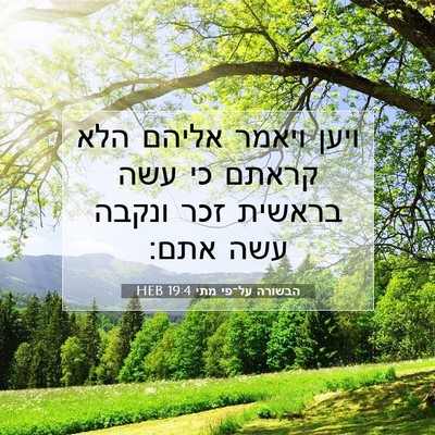 Picture 07 - הבשורה על־פי מתי 19:4 HEB - ויען ויאמר אליהם הלא קראתם - Bible Verse Picture