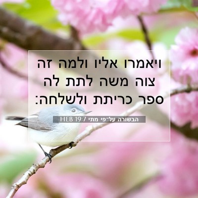 Picture 07 - הבשורה על־פי מתי 19:7 HEB - ויאמרו אליו ולמה זה צוה משה - Bible Verse Picture