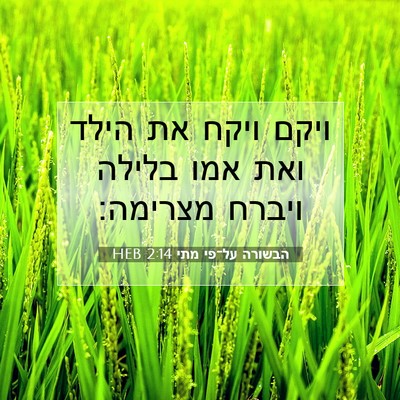 Picture 07 - הבשורה על־פי מתי 2:14 HEB - ויקם ויקח את הילד ואת אמו - Bible Verse Picture