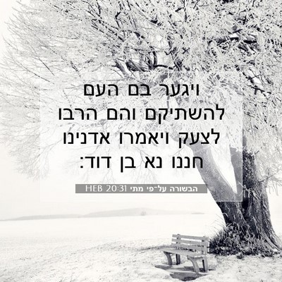 Picture 07 - הבשורה על־פי מתי 20:31 HEB - ויגער בם העם להשתיקם והם - Bible Verse Picture