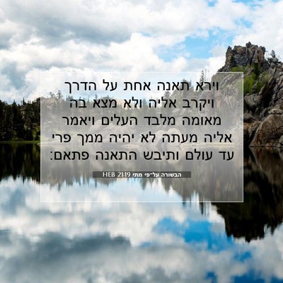 Picture 07 - הבשורה על־פי מתי 21:19 HEB - וירא תאנה אחת על הדרך ויקרב - Bible Verse Picture