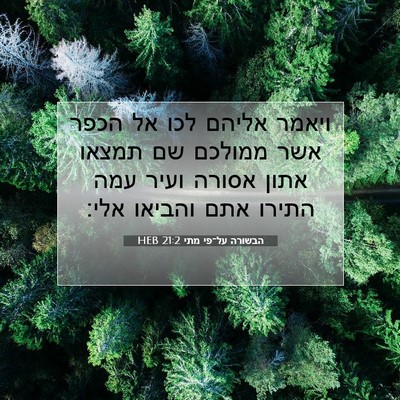 Picture 07 - הבשורה על־פי מתי 21:2 HEB - ויאמר אליהם לכו אל הכפר אשר - Bible Verse Picture