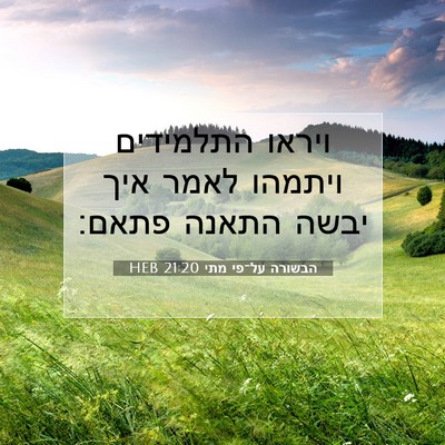 Picture 07 - הבשורה על־פי מתי 21:20 HEB - ויראו התלמידים ויתמהו לאמר - Bible Verse Picture