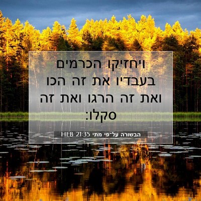 Picture 07 - הבשורה על־פי מתי 21:35 HEB - ויחזיקו הכרמים בעבדיו את - Bible Verse Picture