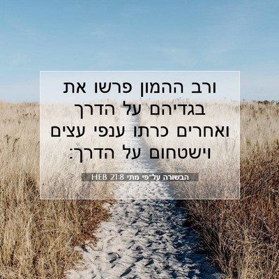 Picture 07 - הבשורה על־פי מתי 21:8 HEB - ורב ההמון פרשו את בגדיהם על - Bible Verse Picture