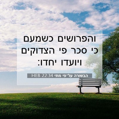 Picture 07 - הבשורה על־פי מתי 22:34 HEB - והפרושים כשמעם כי סכר פי - Bible Verse Picture