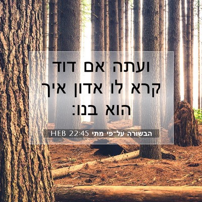 Picture 07 - הבשורה על־פי מתי 22:45 HEB - ועתה אם דוד קרא לו אדון איך - Bible Verse Picture