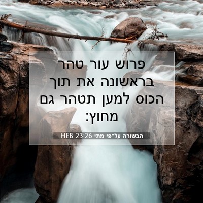 Picture 07 - הבשורה על־פי מתי 23:26 HEB - פרוש עור טהר בראשונה את תוך - Bible Verse Picture