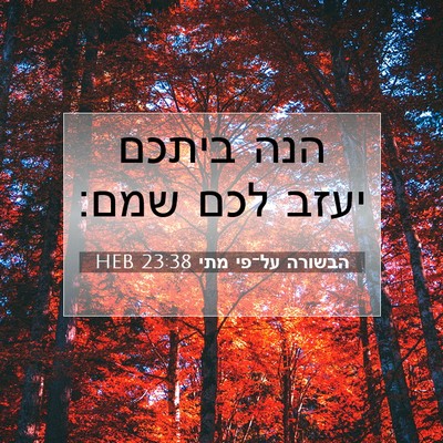 Picture 07 - הבשורה על־פי מתי 23:38 HEB - הנה ביתכם יעזב לכם - Bible Verse Picture