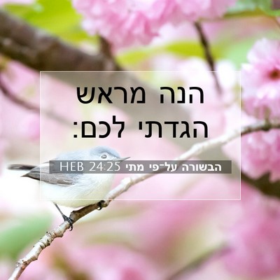 Picture 07 - הבשורה על־פי מתי 24:25 HEB - הנה מראש הגדתי - Bible Verse Picture