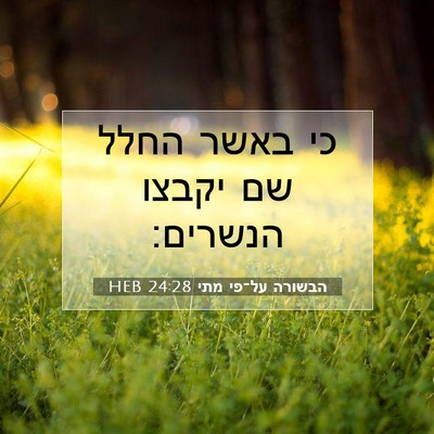 Picture 07 - הבשורה על־פי מתי 24:28 HEB - כי באשר החלל שם יקבצו - Bible Verse Picture