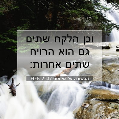 Picture 07 - הבשורה על־פי מתי 25:17 HEB - וכן הלקח שתים גם הוא הרויח - Bible Verse Picture
